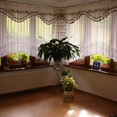 Floryn Bukowina Tatrzańska