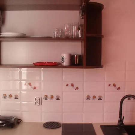 Floryn Διαμέρισμα Bukowina Tatrzańska